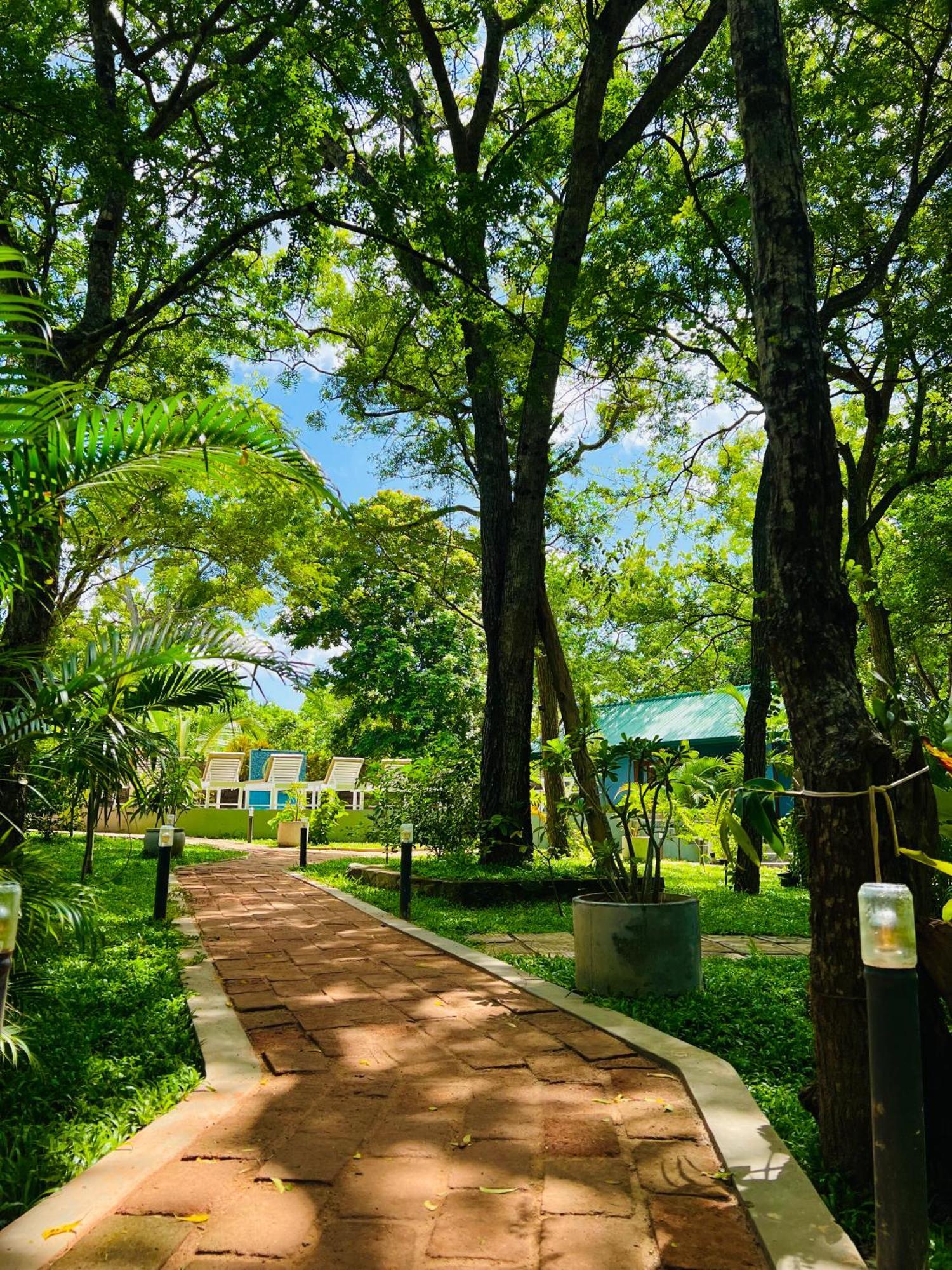 Maritime Nest Cabanas Tangalle Ngoại thất bức ảnh